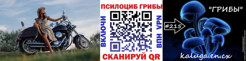 Псилоцибиновые грибы Psilocybine cubensis  Купить  Верхняя Тура 